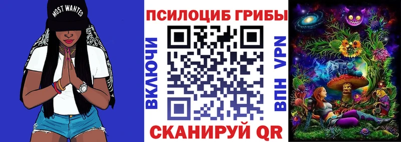 Галлюциногенные грибы Psilocybe  Навашино 